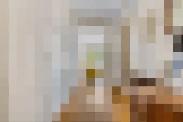 Hoofdstraat 147 B Voorthuizen thumbnail 22