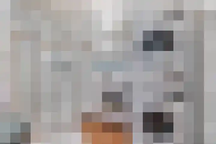 Hoofdstraat 147 B Voorthuizen thumbnail 27