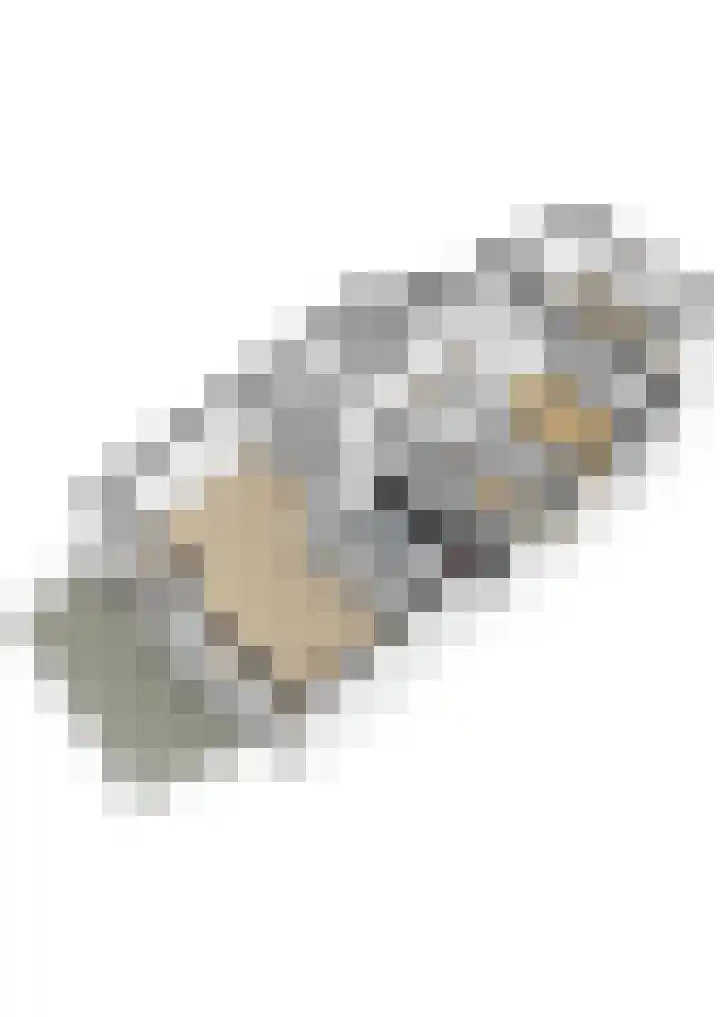 Hoofdstraat 147 B Voorthuizen thumbnail 46