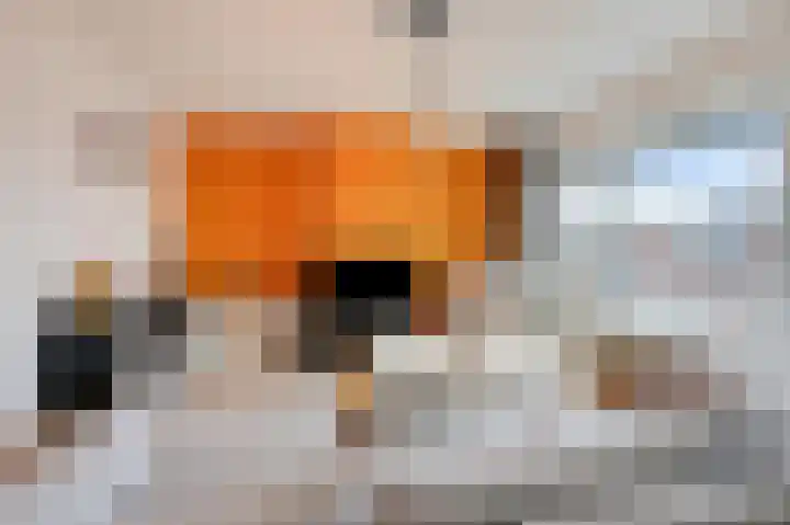 Hoofdstraat 148 Velp thumbnail 16