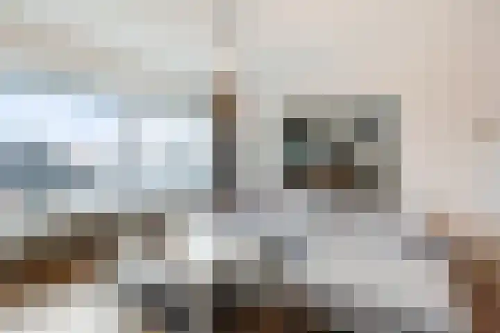 Hoofdstraat 148 Velp thumbnail 18