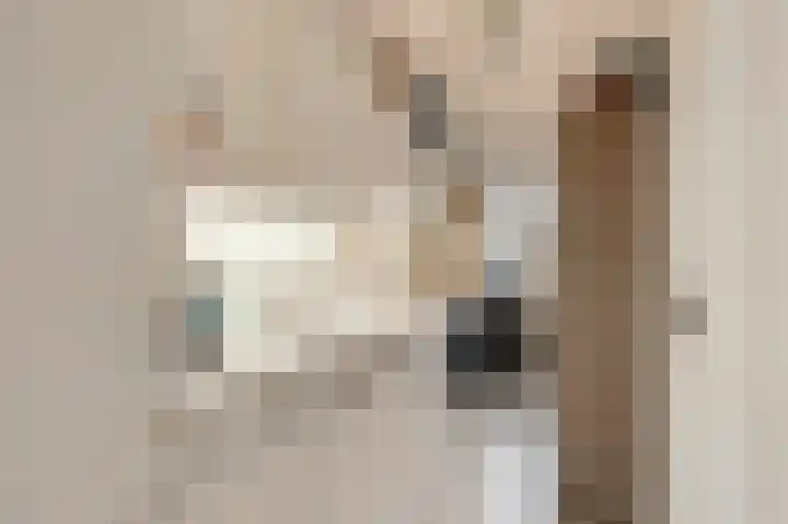 Hoofdstraat 148 Velp thumbnail 25
