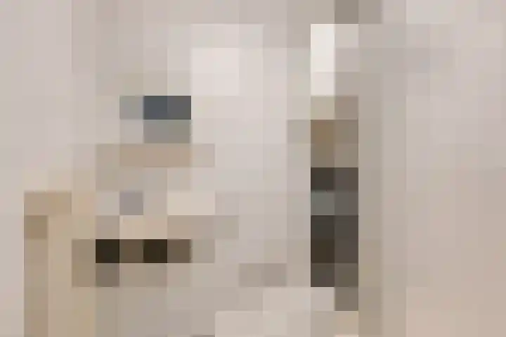 Hoofdstraat 148 Velp thumbnail 28