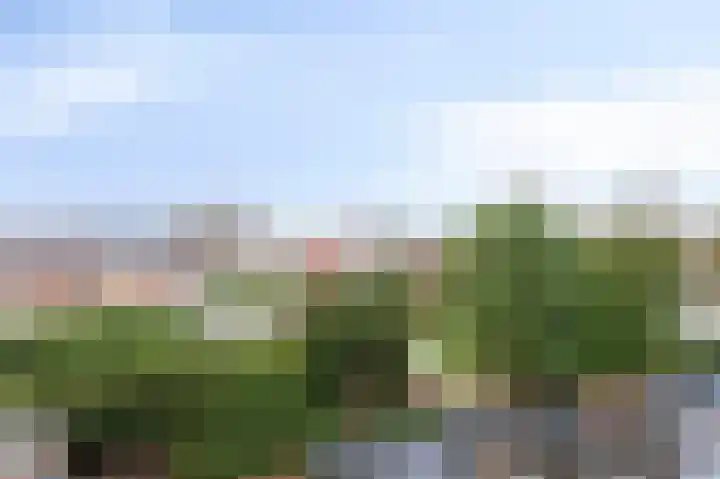 Hoofdstraat 148 Velp thumbnail 31
