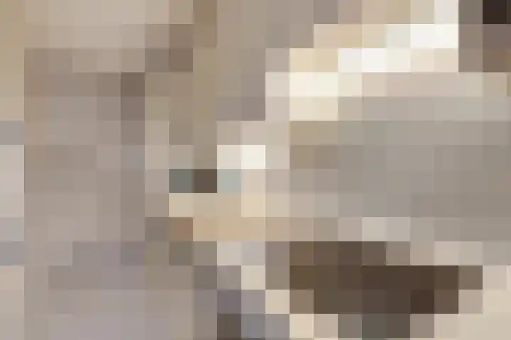 Hoofdstraat 148 Velp thumbnail 5