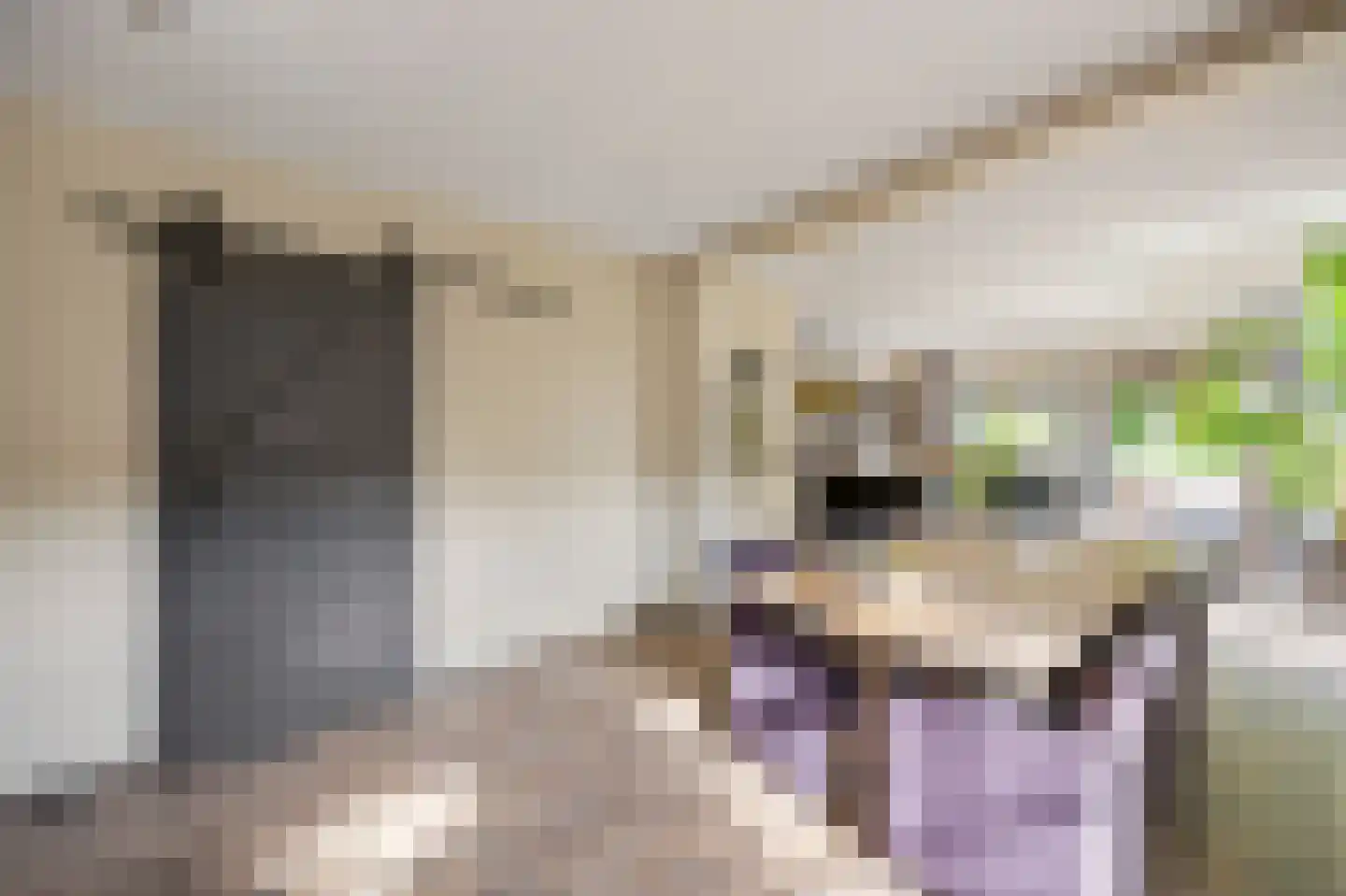 Hoofdstraat 15 Herten thumbnail 19