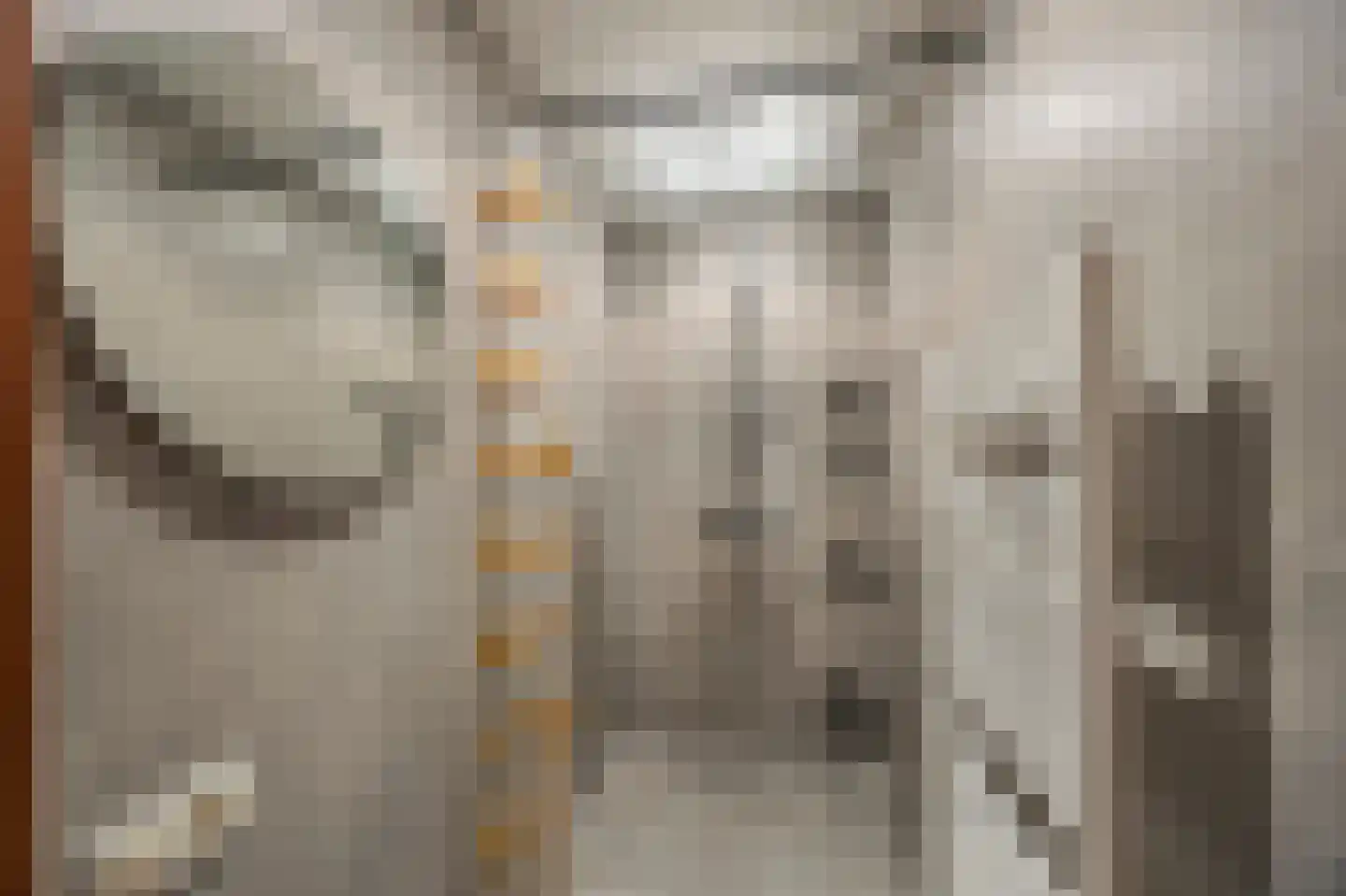 Hoofdstraat 15 Herten thumbnail 22