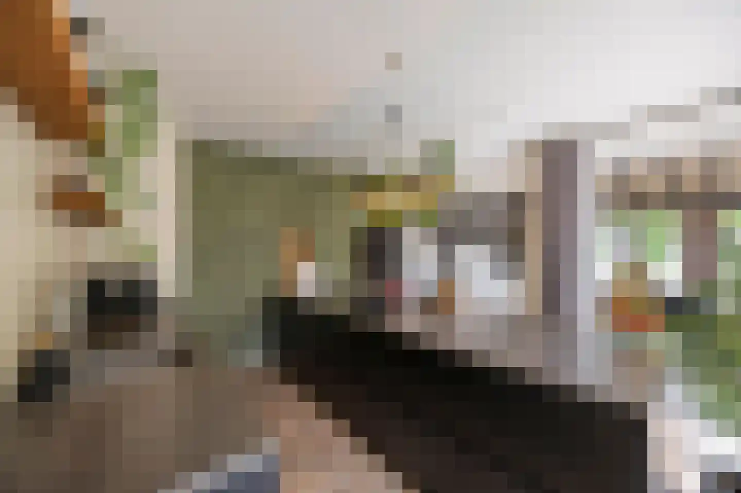 Hoofdstraat 15 Herten thumbnail 26