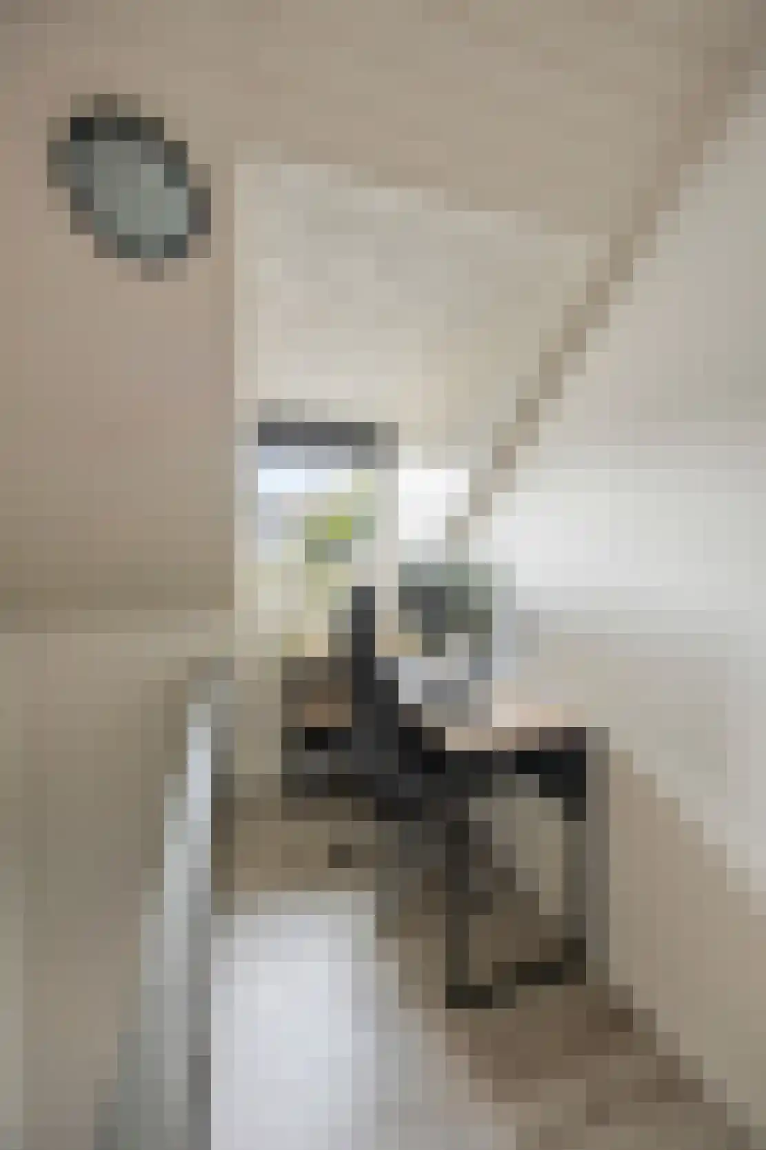 Hoofdstraat 15 Herten thumbnail 33