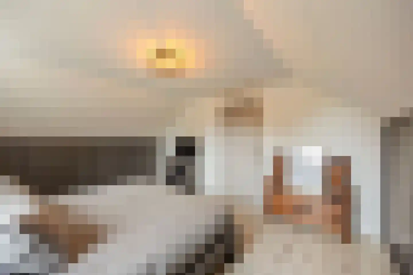 Hoofdstraat 15 Herten thumbnail 35