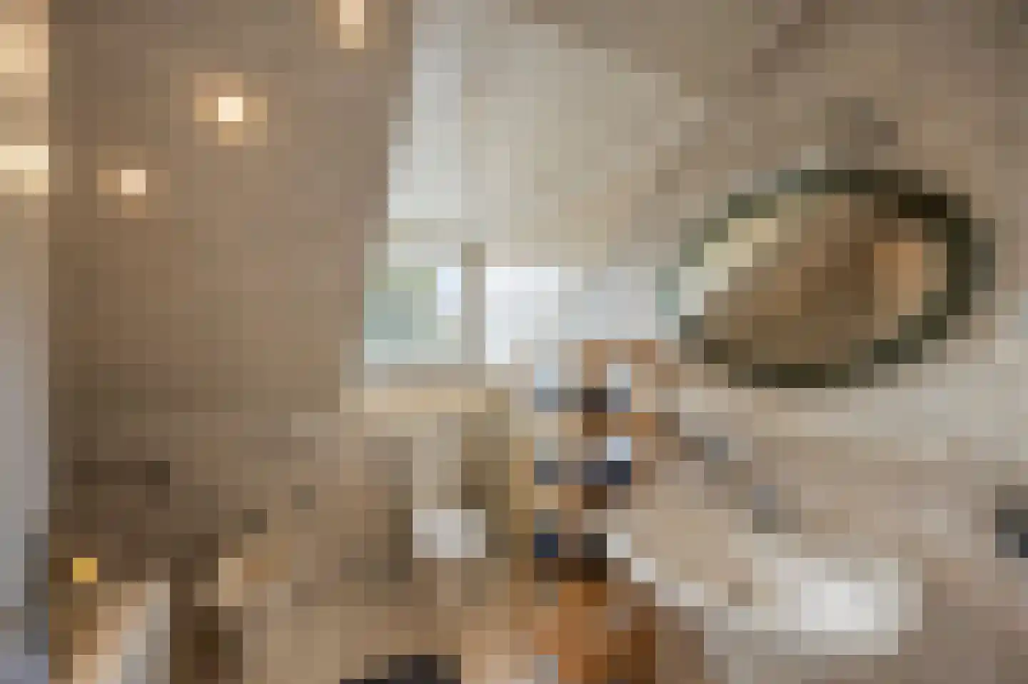 Hoofdstraat 15 Herten thumbnail 37