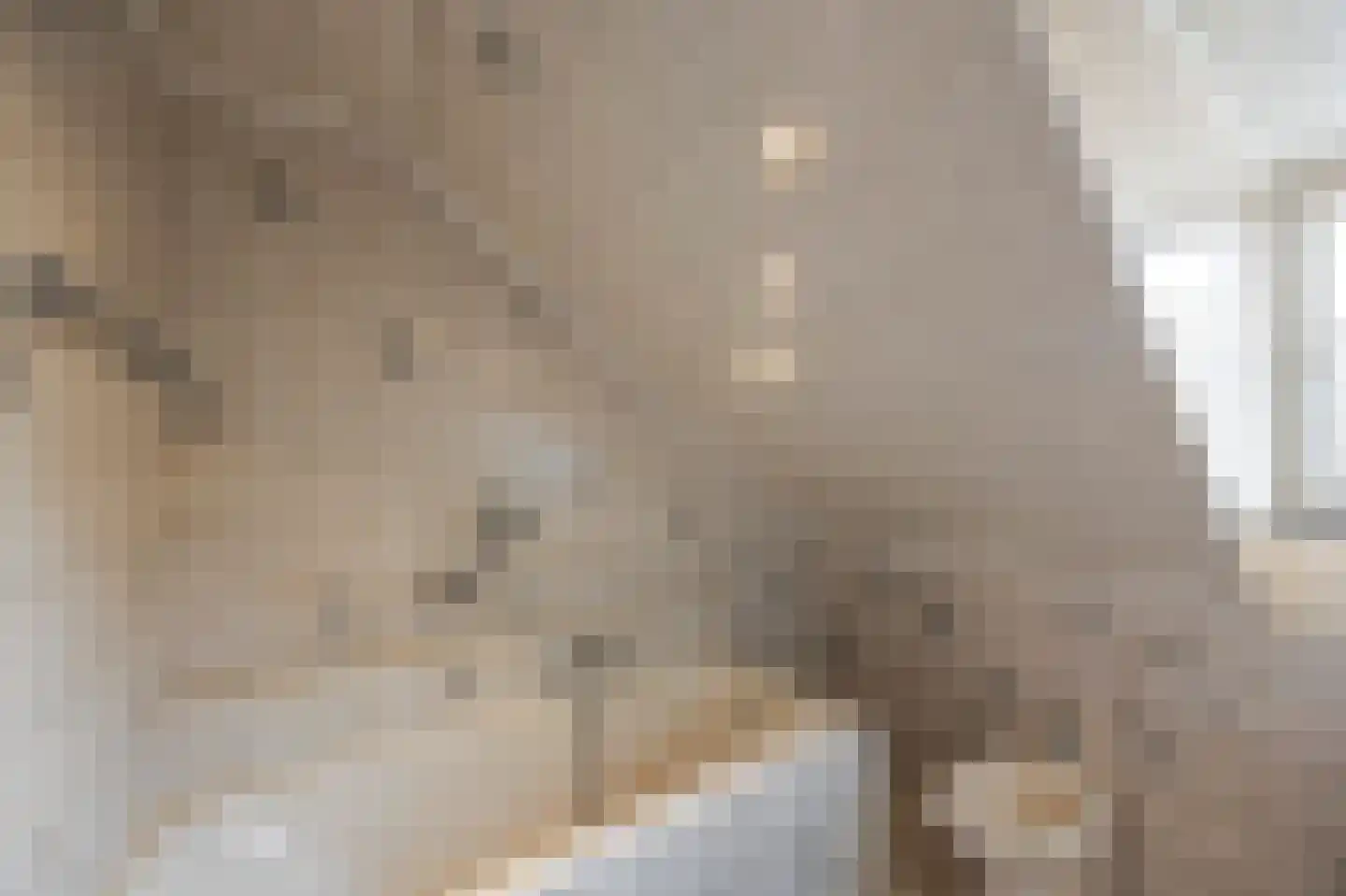 Hoofdstraat 15 Herten thumbnail 38