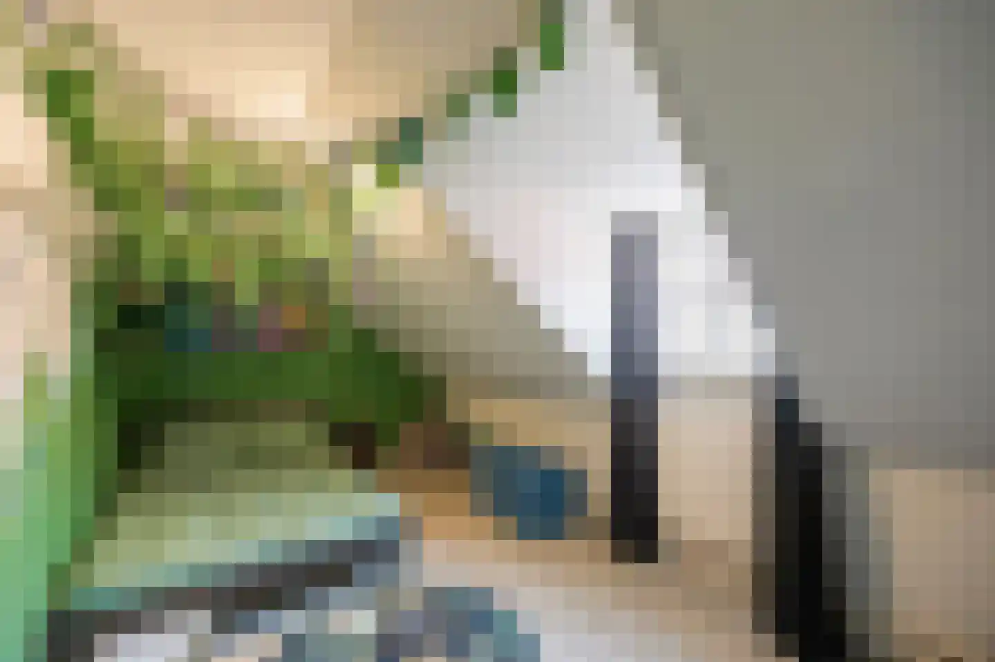 Hoofdstraat 15 Herten thumbnail 39