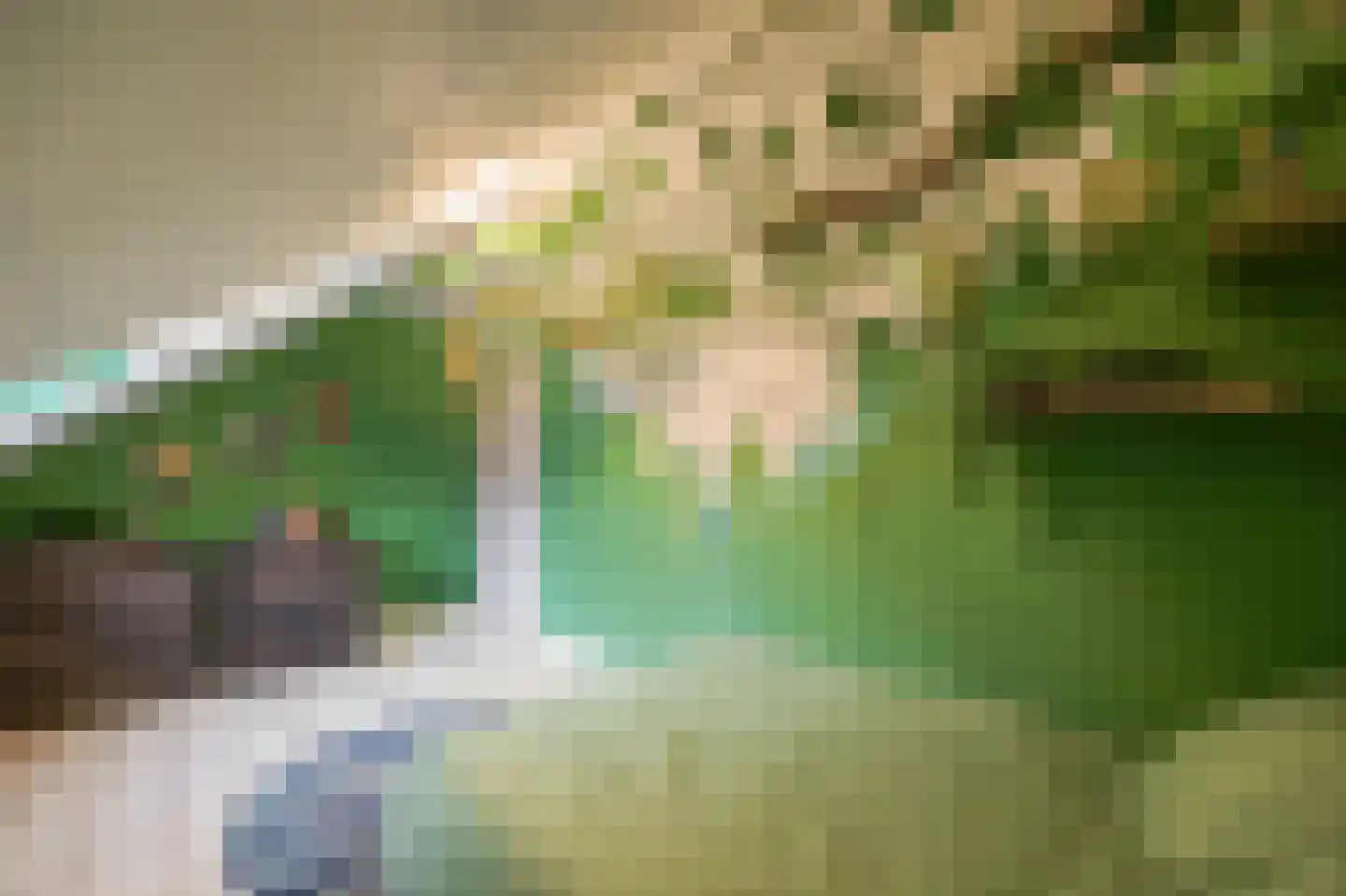 Hoofdstraat 15 Herten thumbnail 40