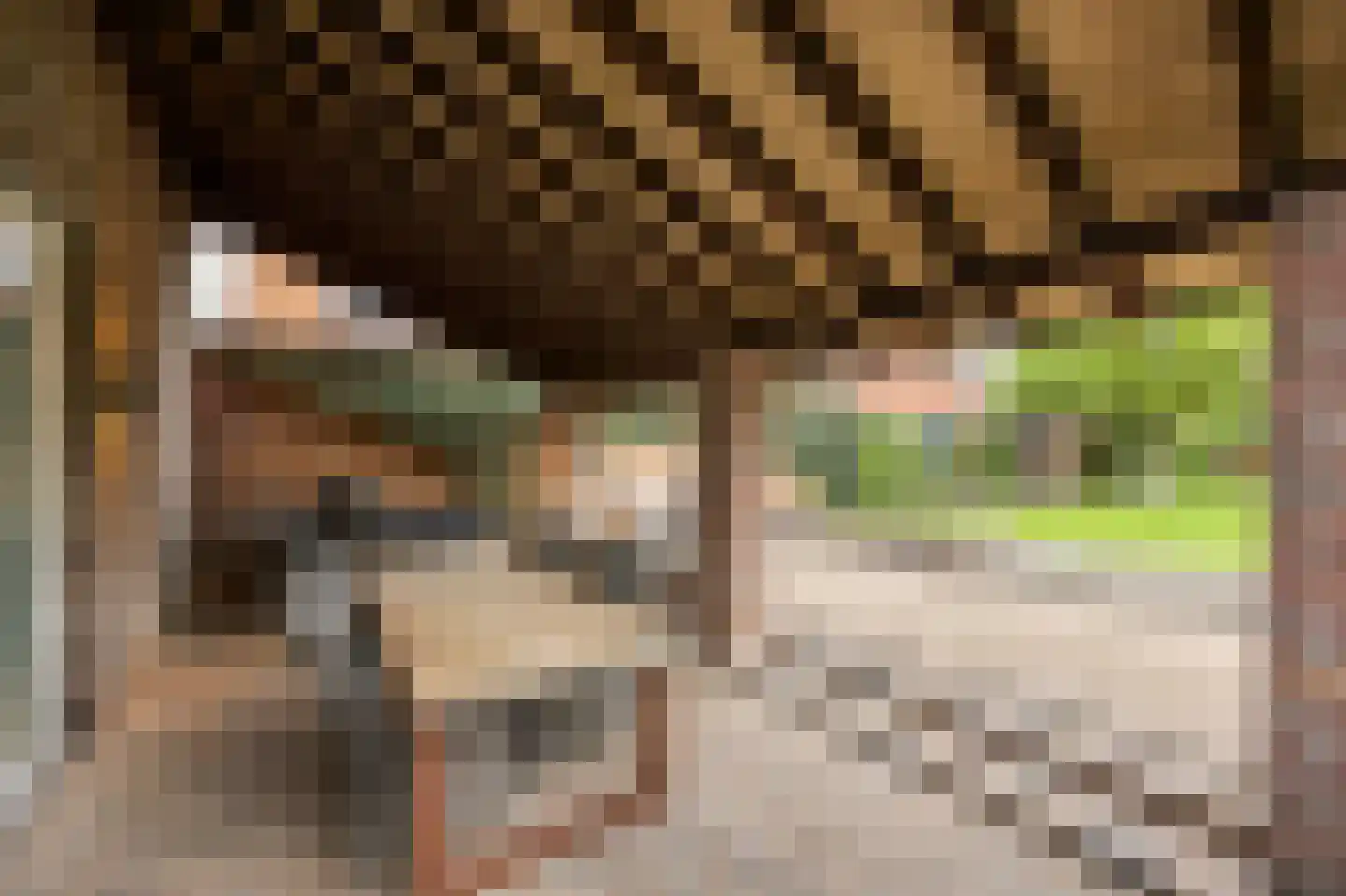 Hoofdstraat 15 Herten thumbnail 47