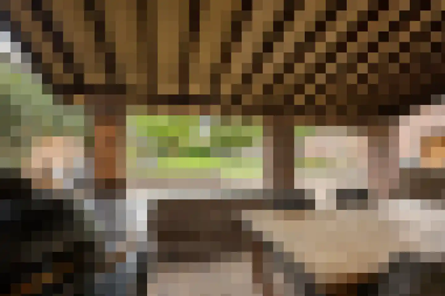 Hoofdstraat 15 Herten thumbnail 48