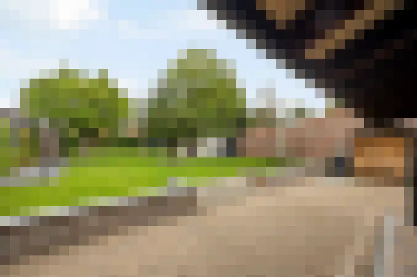 Hoofdstraat 15 Herten thumbnail 53