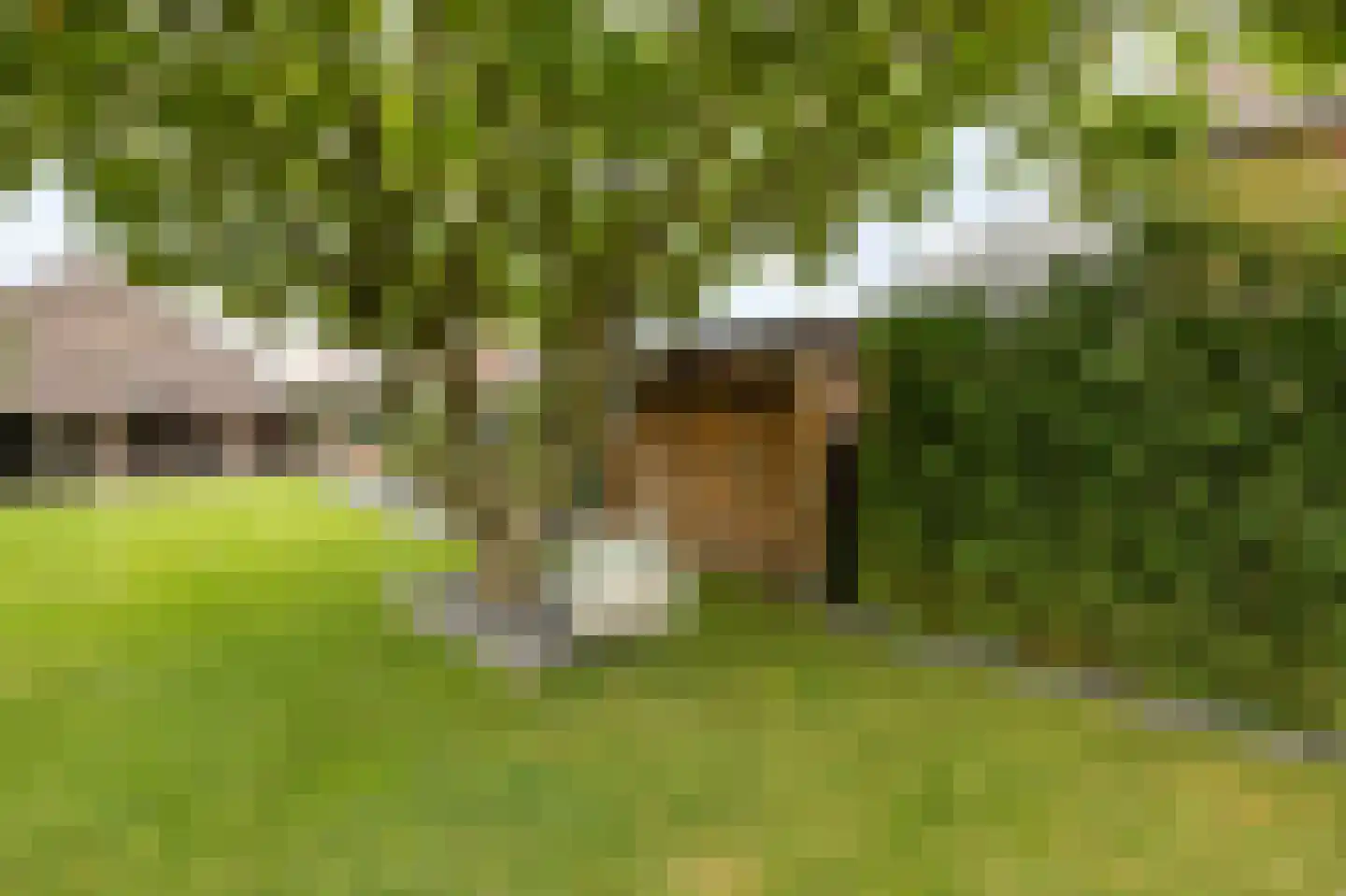 Hoofdstraat 15 Herten thumbnail 57