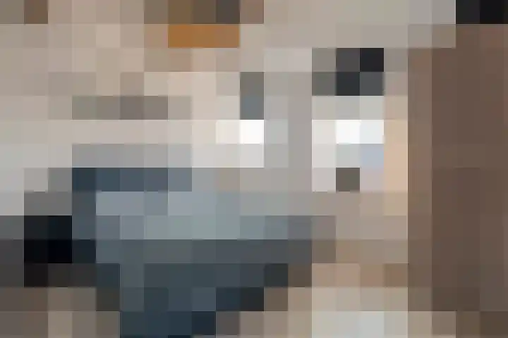 Hoofdstraat 15 Hooghalen thumbnail 17
