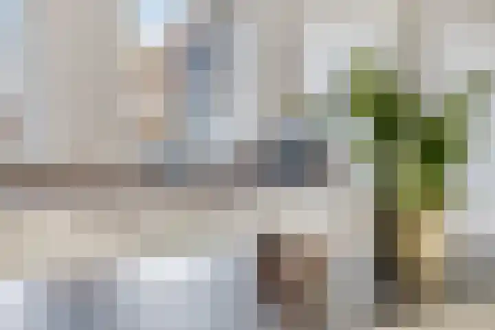 Hoofdstraat 15 Ovezande thumbnail 15
