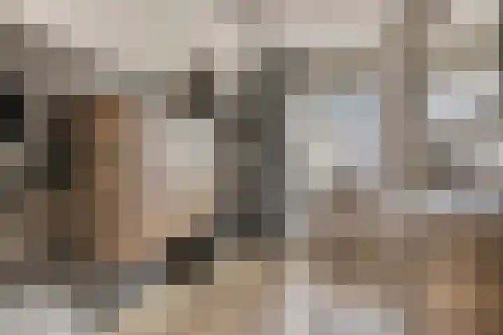 Hoofdstraat 15 Ovezande thumbnail 23