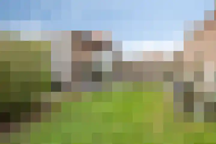 Hoofdstraat 15 Ovezande thumbnail 33