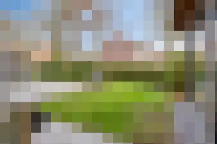 Hoofdstraat 15 Ovezande thumbnail 34