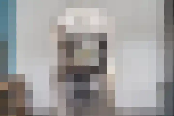 Hoofdstraat 15 Ovezande thumbnail 9