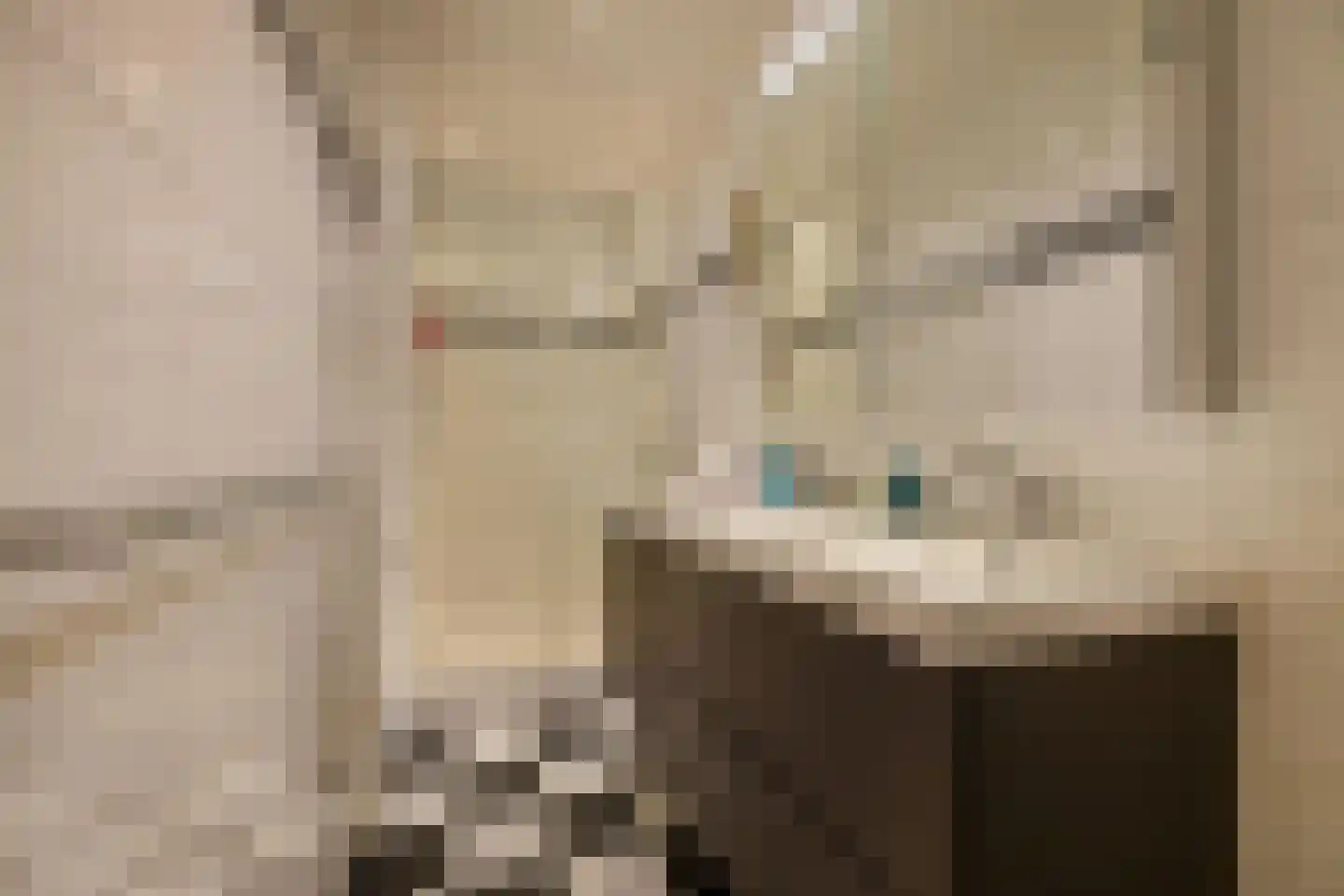 Hoofdstraat 15 Warffum thumbnail 15