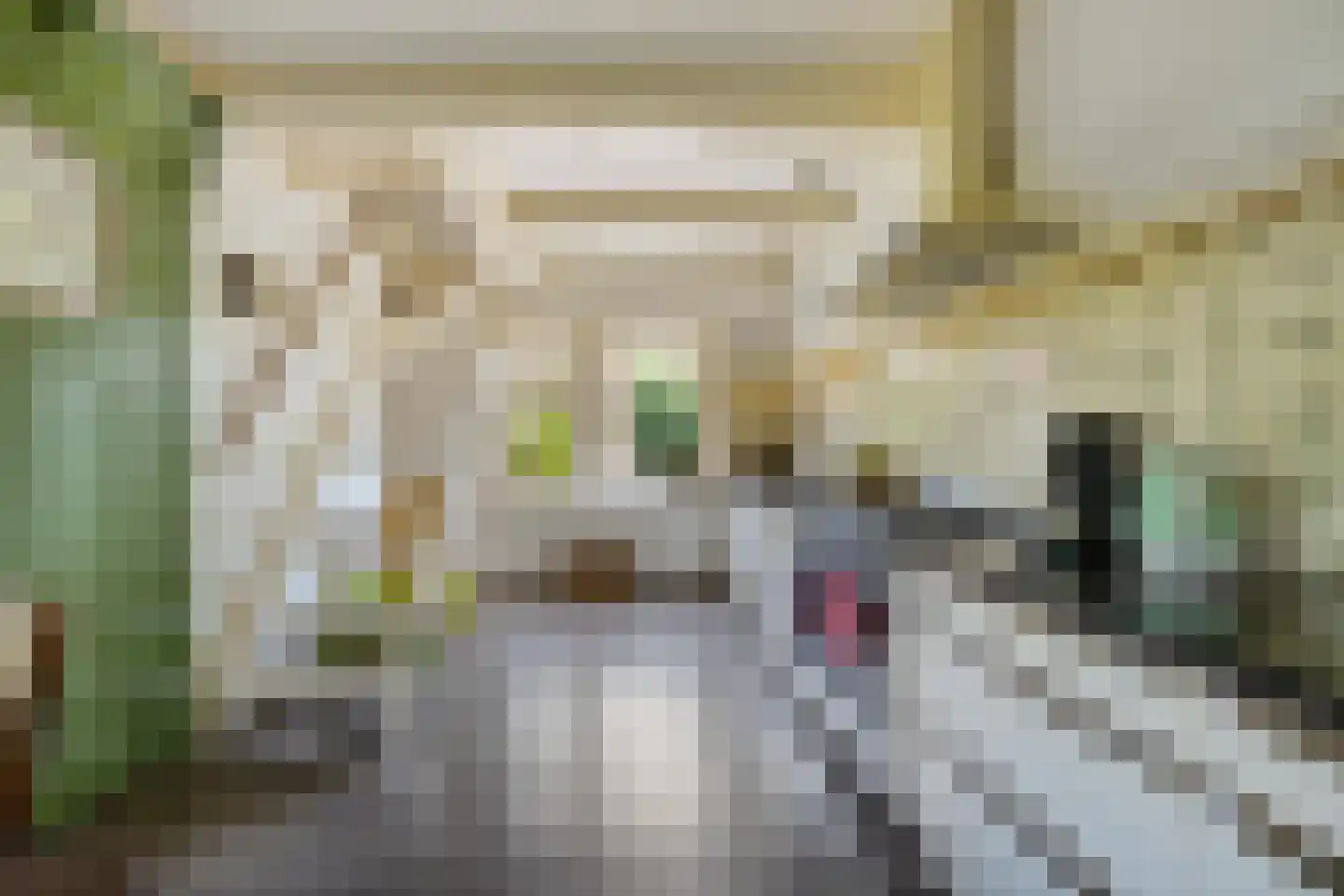 Hoofdstraat 15 Warffum thumbnail 21