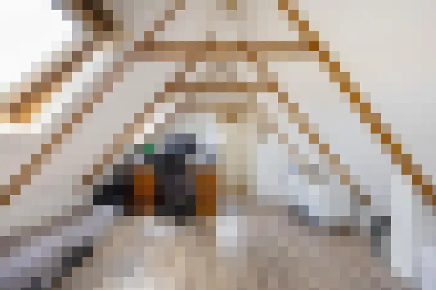 Hoofdstraat 15 Warffum thumbnail 24
