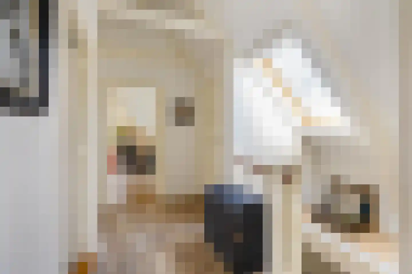 Hoofdstraat 15 Warffum thumbnail 30