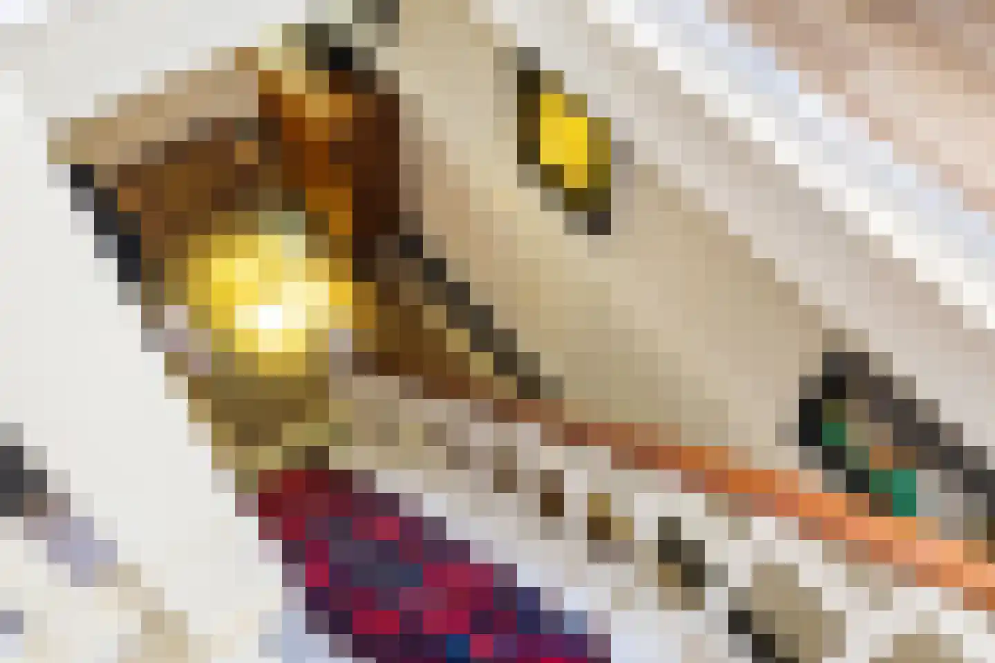 Hoofdstraat 15 Warffum thumbnail 33