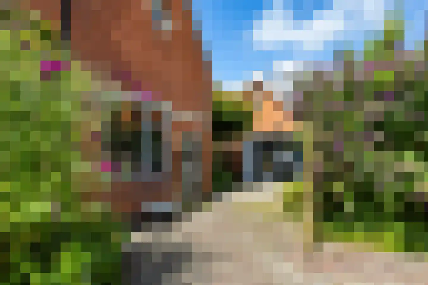 Hoofdstraat 15 Warffum thumbnail 35