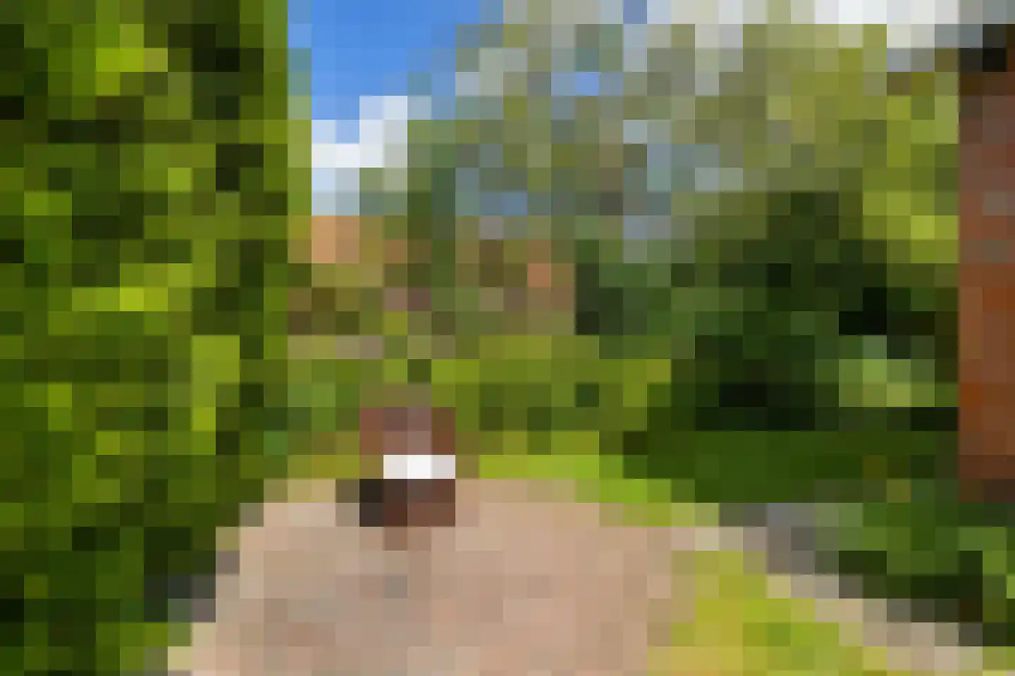 Hoofdstraat 15 Warffum thumbnail 41