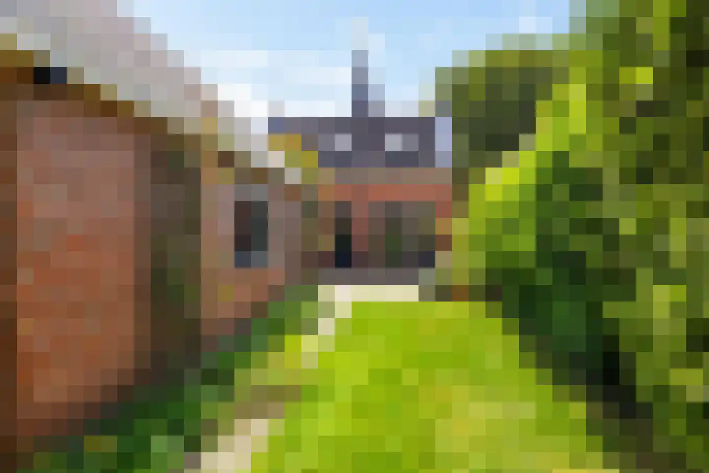 Hoofdstraat 15 Warffum thumbnail 42