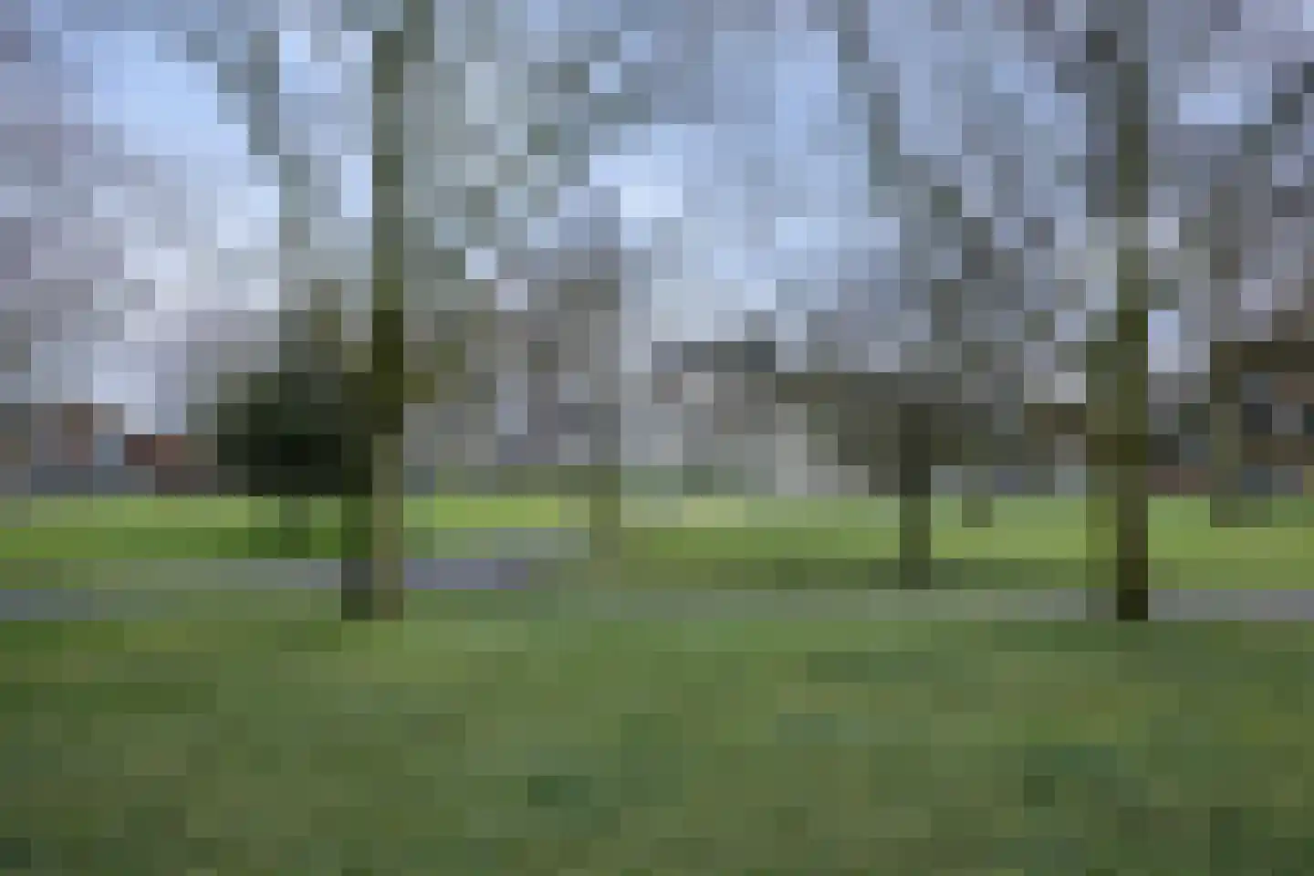 Hoofdstraat 150 Hillegom thumbnail 27