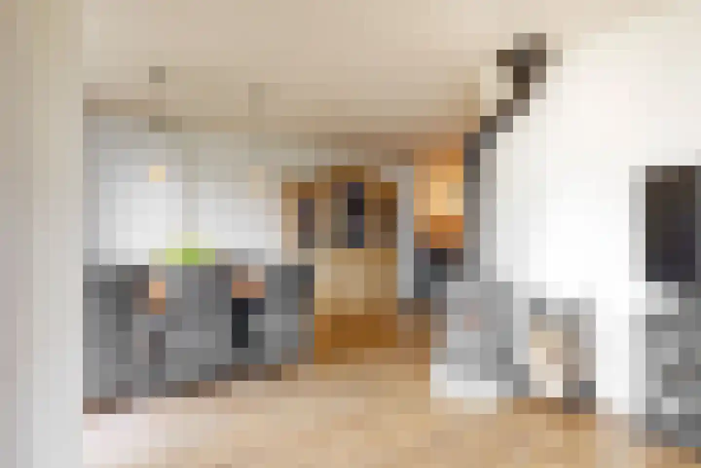 Hoofdstraat 151 Leiderdorp thumbnail 12