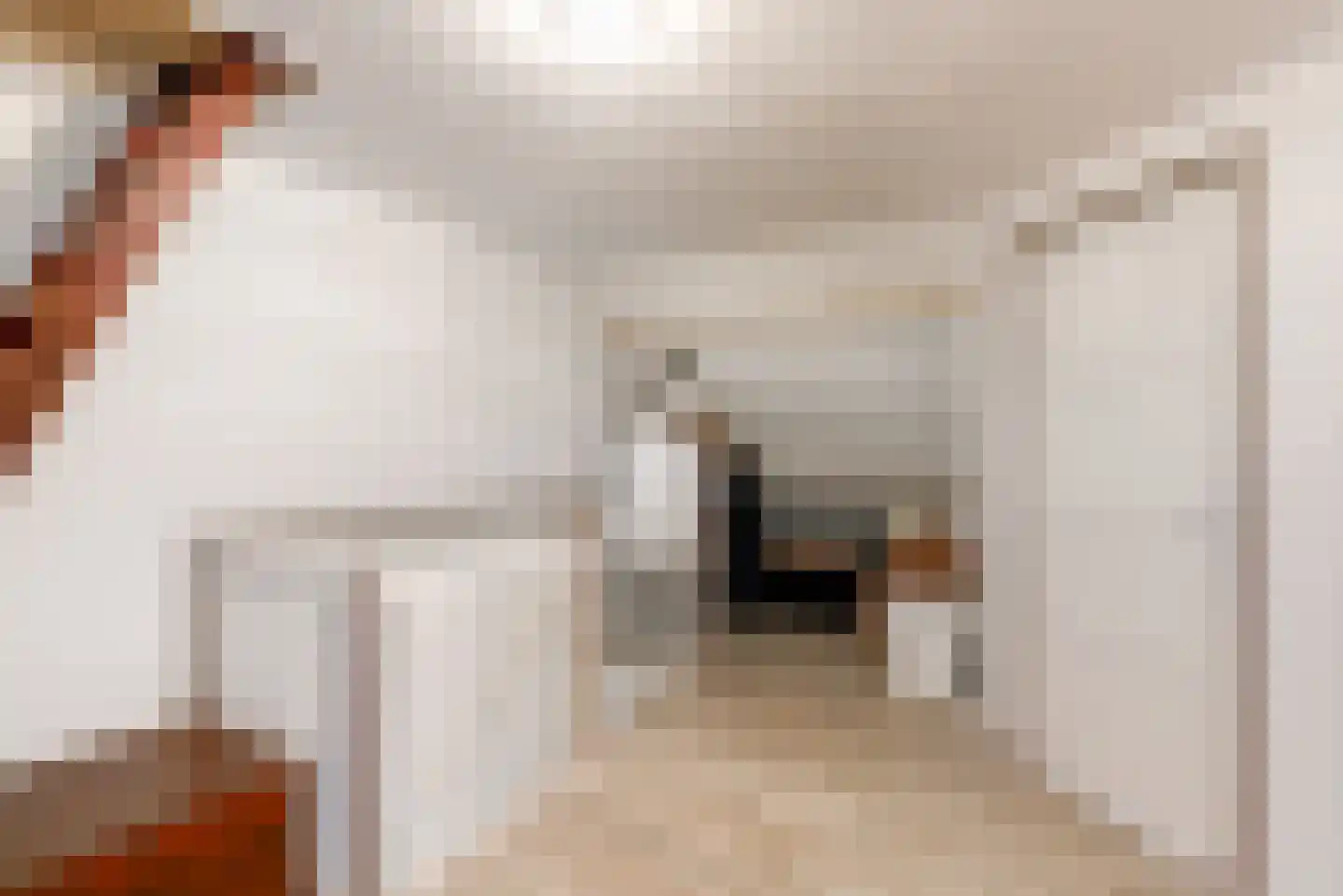 Hoofdstraat 151 Leiderdorp thumbnail 32