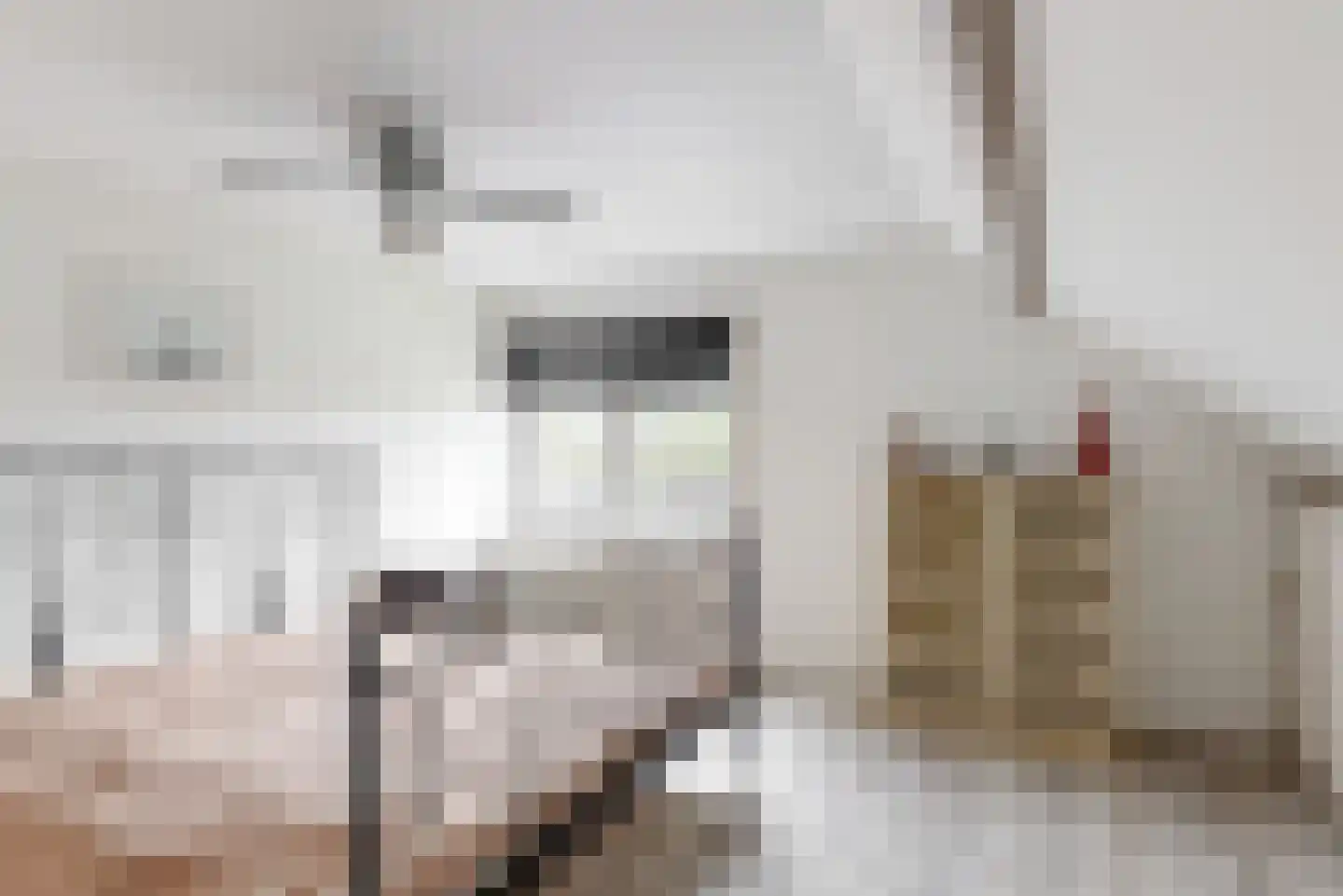 Hoofdstraat 151 Leiderdorp thumbnail 33