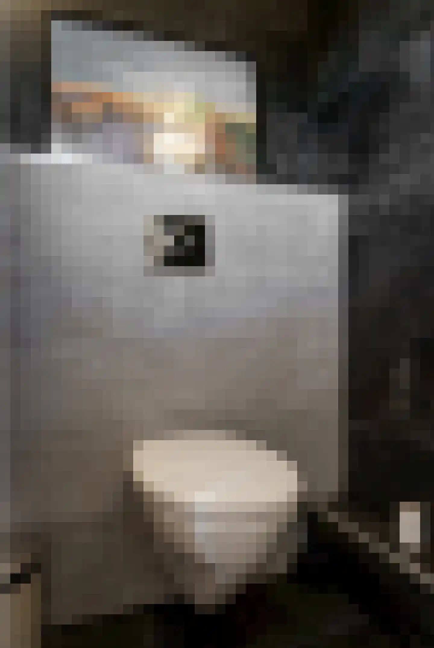 Hoofdstraat 151 Leiderdorp thumbnail 6