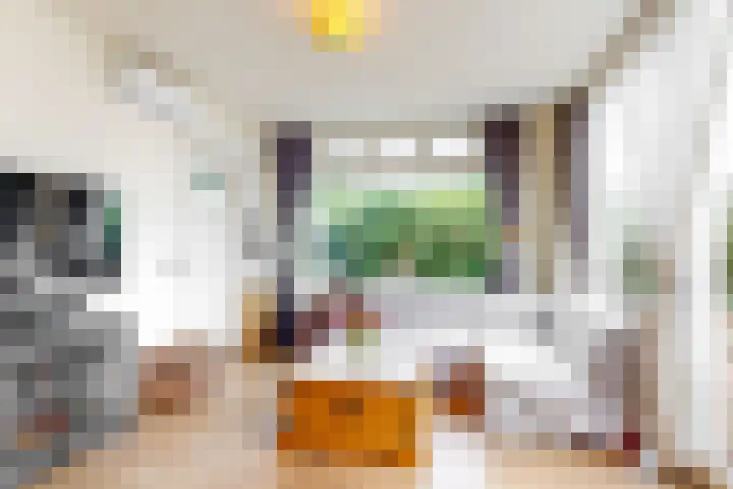 Hoofdstraat 151 Leiderdorp thumbnail 8