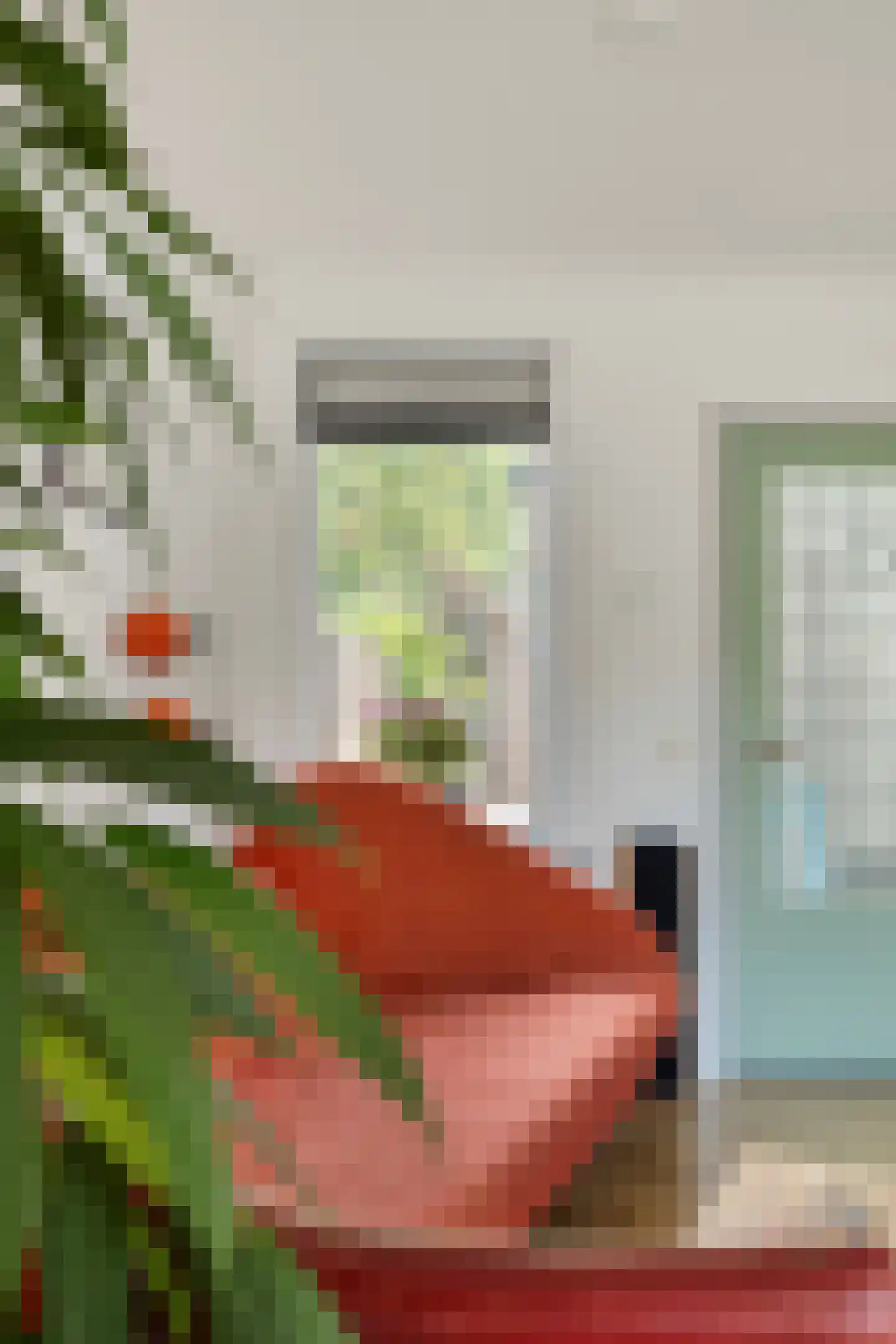 Hoofdstraat 151 Terheijden thumbnail 10