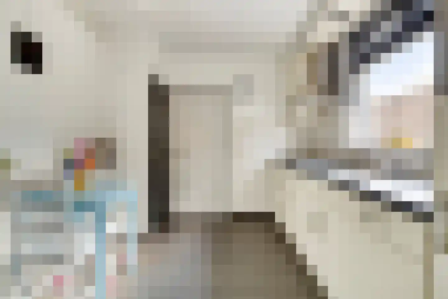 Hoofdstraat 151 Terheijden thumbnail 11