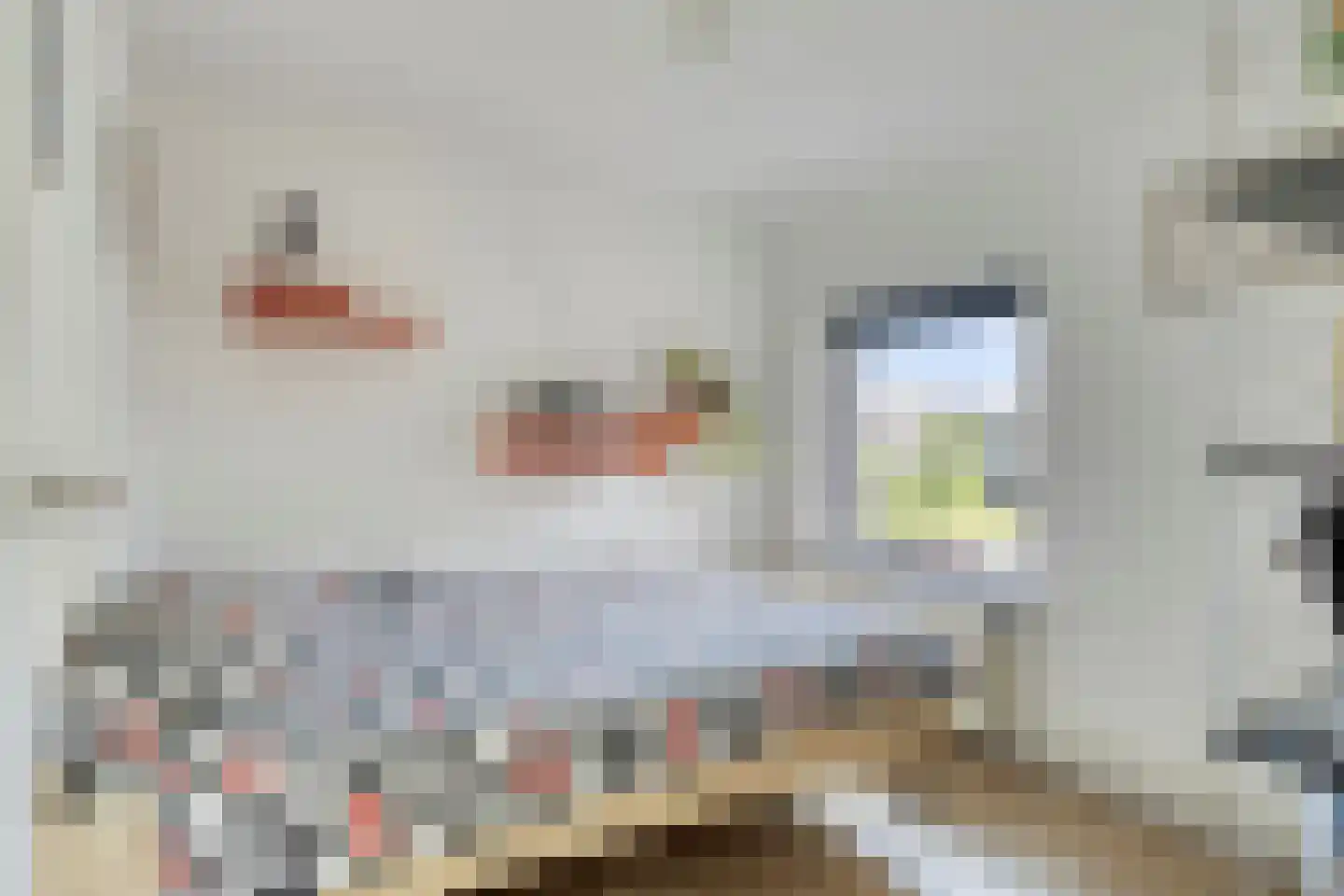 Hoofdstraat 151 Terheijden thumbnail 23