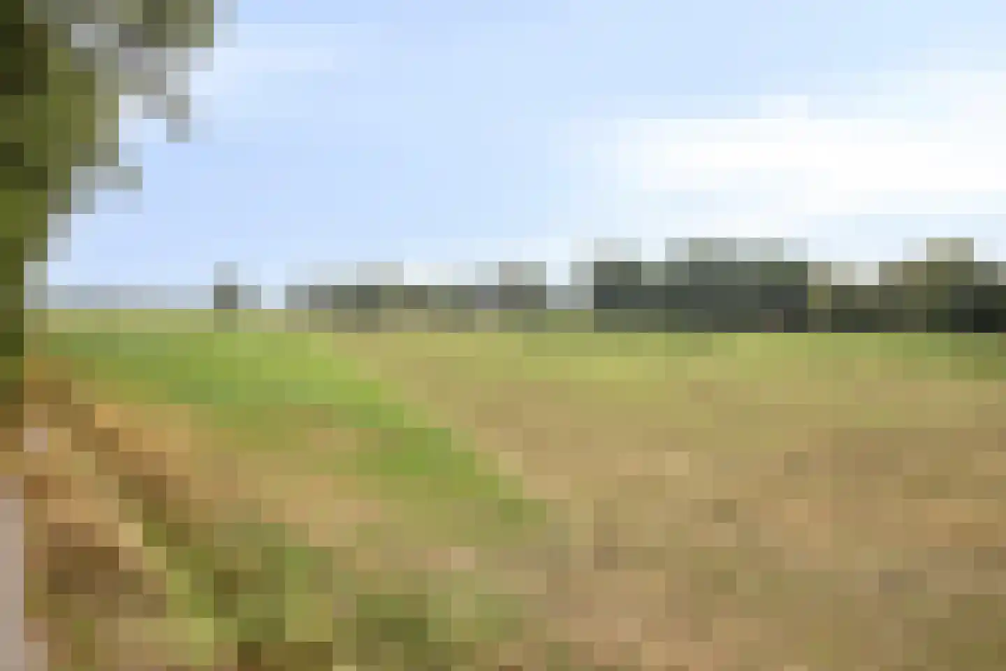 Hoofdstraat 151 Terheijden thumbnail 31