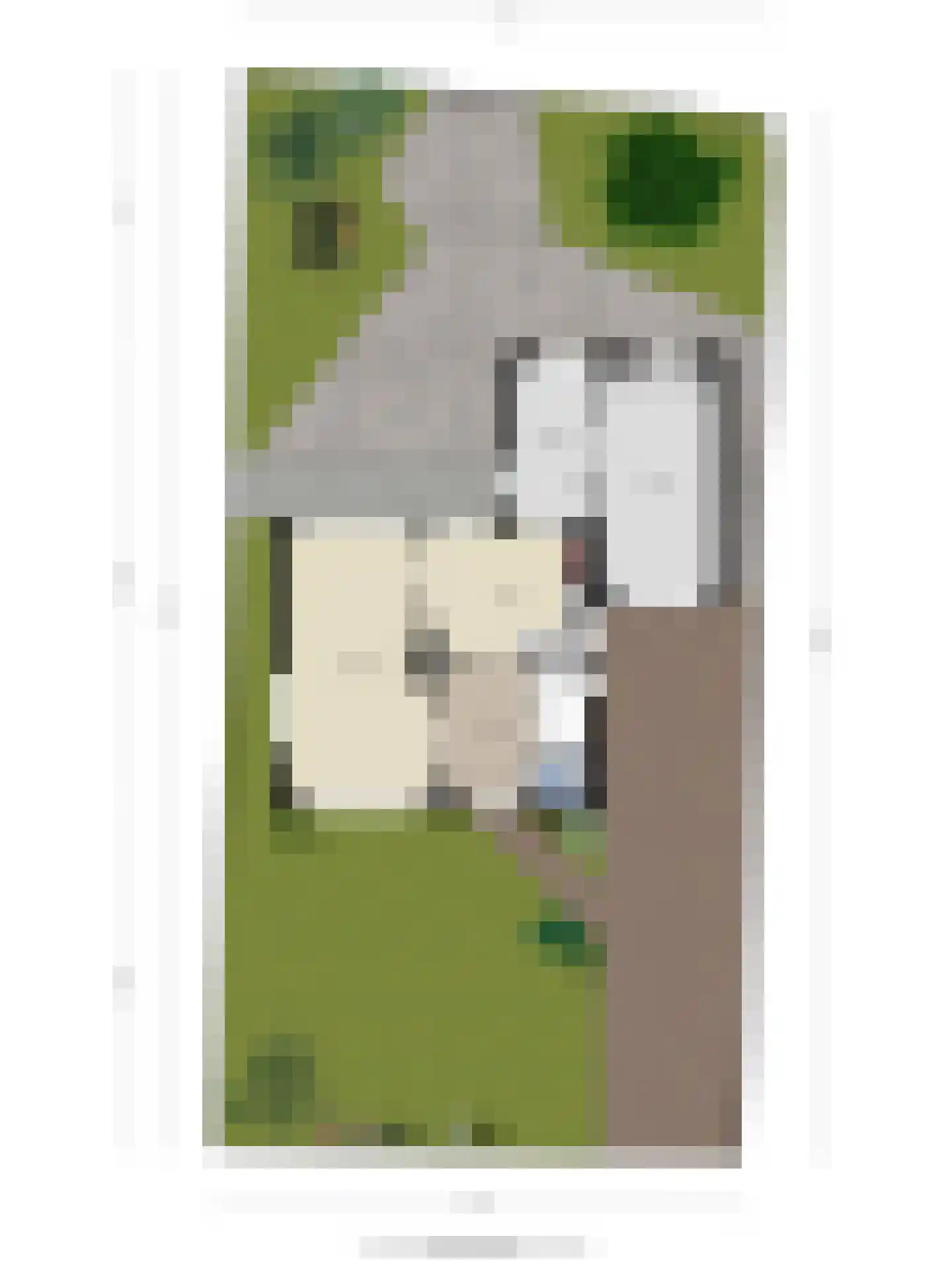 Hoofdstraat 153 Herveld thumbnail 42