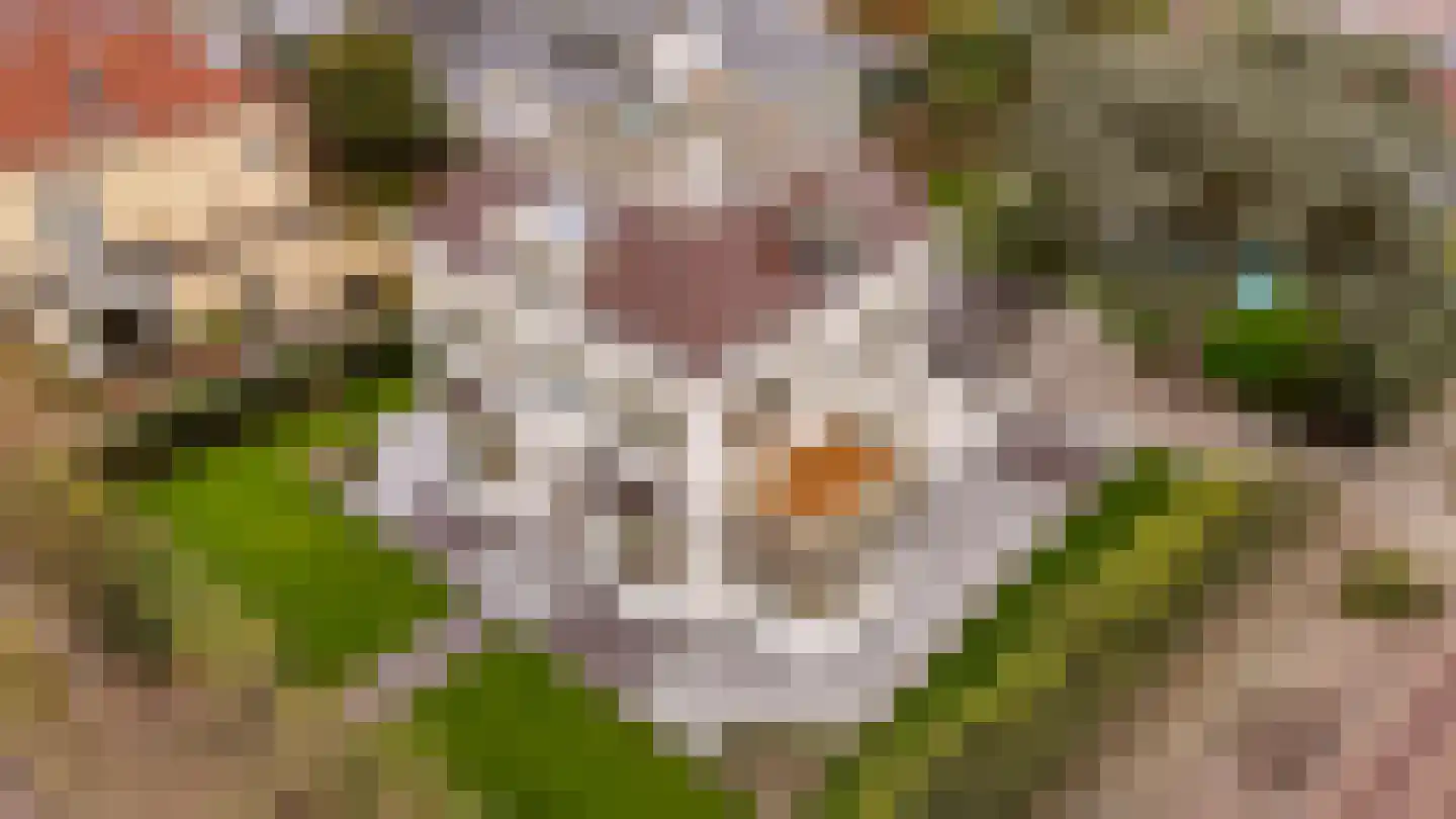 Hoofdstraat 153 Sassenheim thumbnail 12