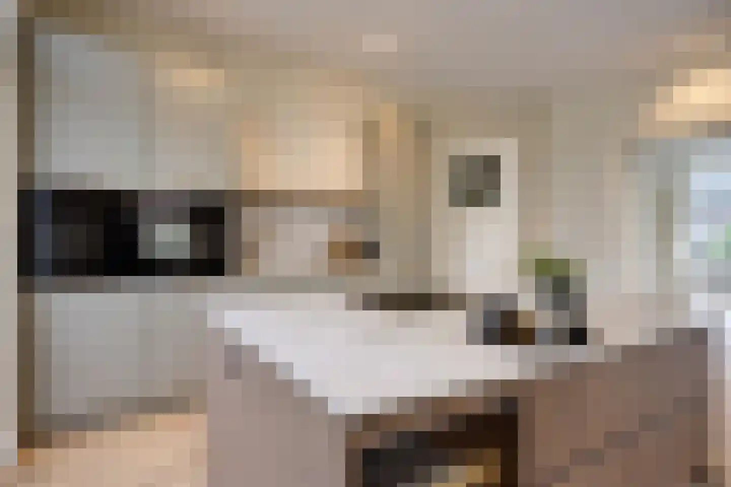 Hoofdstraat 153 Sassenheim thumbnail 9