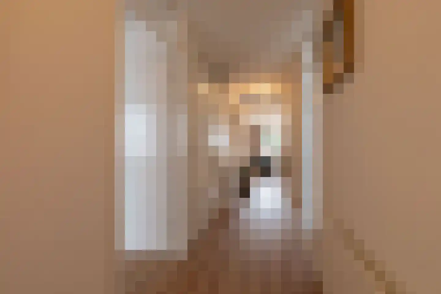 Hoofdstraat 155 F Voorthuizen thumbnail 14